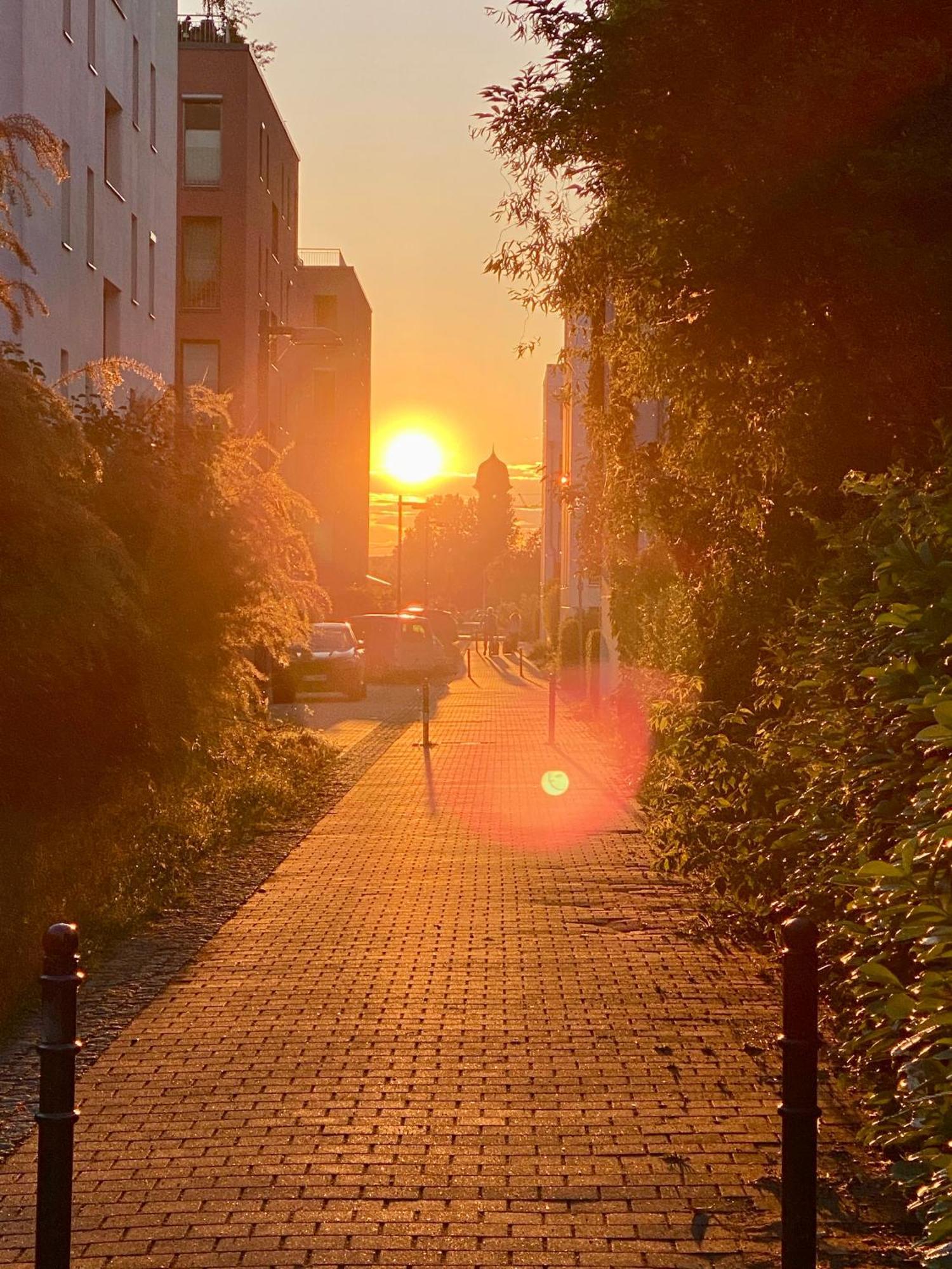 Schoene Aussichten Mitten In Berlin - Il Sole Exterior photo